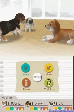 Image n° 3 - screenshots : Nintendogs - Shiba & Friends (v01)